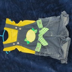 3T summer lemon overall shorts outfit